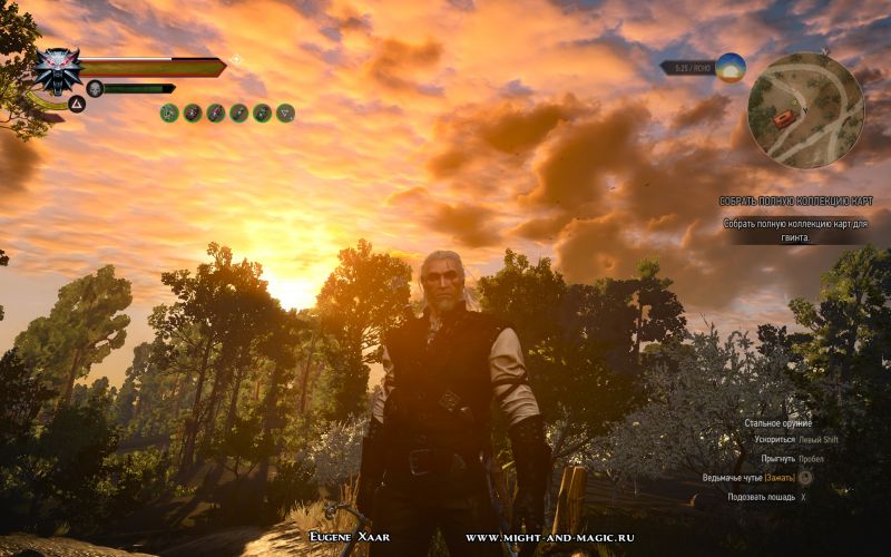 Witcher 3. Закат карьеры.