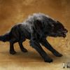 PIC creature haven direwolf Upg artwork large