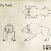 Haven Direwolf