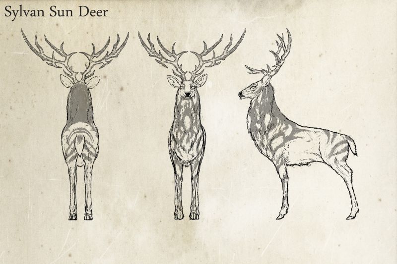 MMH7 Sun Deer T