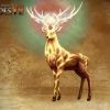 MMH7 Sun Deer A