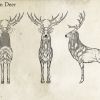 MMH7 Sun Deer T