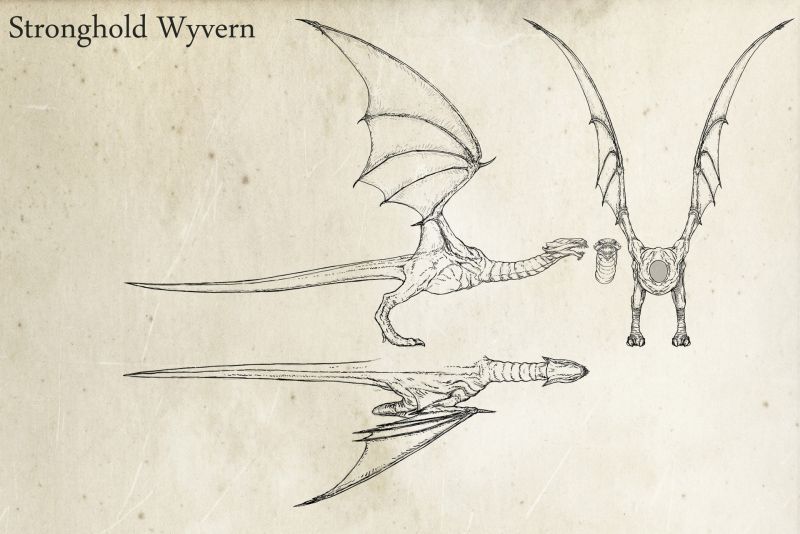 MMH7 Stronghold Wyvern