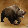 Артворк BEAR (Медведь)